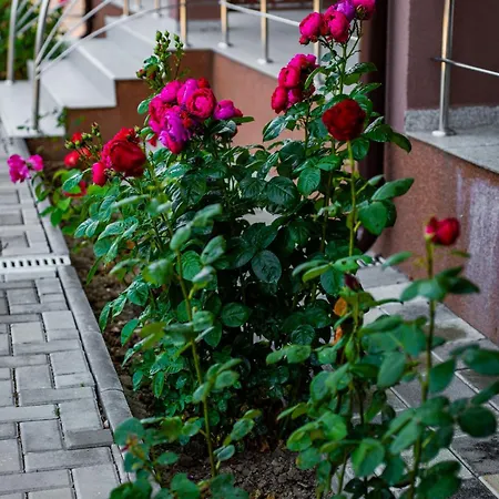 Гостевой дом Casa Coco