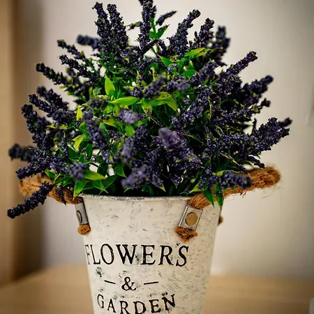 Casa Coco Affittacamere