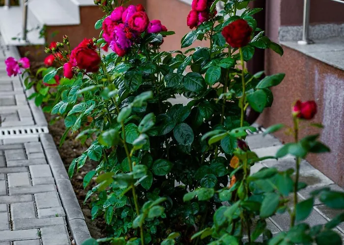 Affittacamere Casa Coco